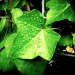 博彩票APP下载后续使用指南与常见问题解决办法大全 d1deq0