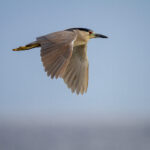 2025203期三地开奖结果最新公布 00evsbd