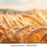 2025152期开奖结果公布最新中奖号码查询 1lhysu8y