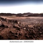 2025197期3d开奖号最新公布结果查询 2tqcrk