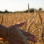 45秒极速开奖彩票,瞬间点燃你的财富梦想! 44u2as