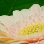 460期历史开奖号码完整回顾与解析 9cvxcid0