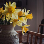 2025166期开奖结果最新公布,快来看看你中奖了吗? 9vvzs13