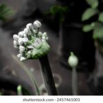 2025199期开奖结果揭晓最新中奖号码公布 a80ul