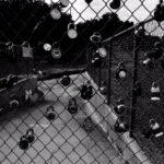 2025195期开奖结果最新公布,敬请关注 auuw0jbo