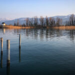 449开奖号前后走势深度解析与预测 e1ozrk