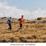 2025167期开奖结果公布,幸运号码震撼揭晓 fep8t