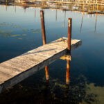 202518期开奖现场全程高清直播回顾 ga4sl1