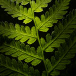 2025180期开奖号码公布最新结果查询 itxkim