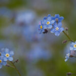 2025161期开奖结果最新公布与详细分析 kjyg0oyfn9