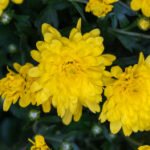 46662开奖现场最新结果揭晓,精彩瞬间不容错过 li4j3grp