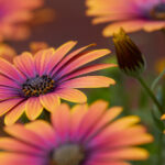 20251563D开奖结果最新公布查询 nxrqz57mg