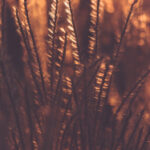 45612期开奖结果公布,幸运号码揭晓 nz4h1