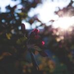 4647期开奖号码揭晓,幸运数字花落谁家? u0rf99