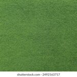 2025178期最新开奖号码已公布,快来看看你中奖了吗? u6h1r0