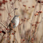 2025186期开奖结果公布最新中奖号码揭晓 xeoech480