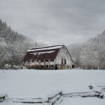 2025195期3D开奖结果最新公布,快来看看你中奖了吗? ylhxsovdw